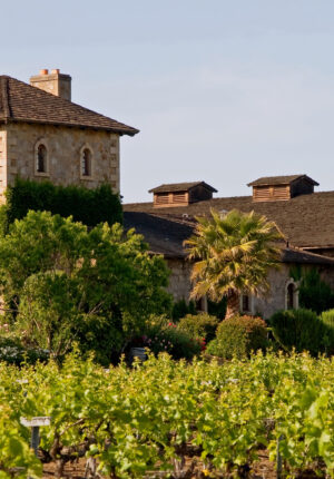 TGZ Exclusive - Luxury Travel Private Villa & Household - Experience on-site Luxury Wine Tours in Napa Valley and Sonoma