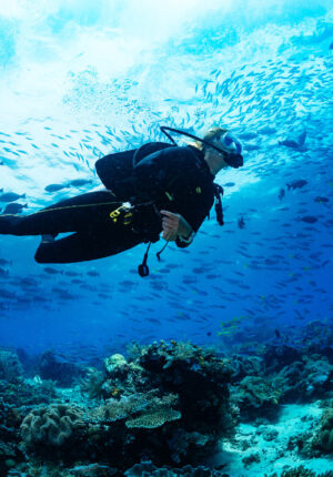 TGZ Exclusive - Luxury Travel Private Villa & Household - Experience on-site Snorkeling and diving